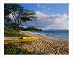 Canoe on Wailea Beach by Anonymous