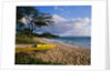 Canoe on Wailea Beach by Anonymous