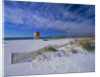 White Sands of Santa Rosa Island by Anonymous
