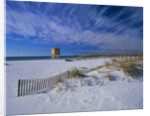 White Sands of Santa Rosa Island by Anonymous