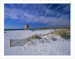 White Sands of Santa Rosa Island by Anonymous