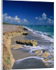 Beach on Jupiter Island by Anonymous