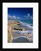 Beach on Jupiter Island by Anonymous