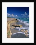 Beach on Jupiter Island by Anonymous