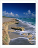 Beach on Jupiter Island by Anonymous