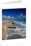 Beach on Jupiter Island by Anonymous