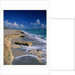 Beach on Jupiter Island by Anonymous