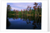 Billy's Lake by Anonymous