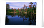 Billy's Lake by Anonymous