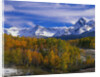 Golden Aspens and Mount Sneffels by Anonymous