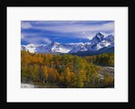 Golden Aspens and Mount Sneffels by Anonymous
