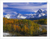 Golden Aspens and Mount Sneffels by Anonymous