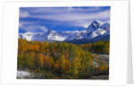 Golden Aspens and Mount Sneffels by Anonymous