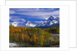 Golden Aspens and Mount Sneffels by Anonymous
