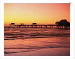 Clearwater Pier on Gulf of Mexico by Anonymous