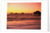 Clearwater Pier on Gulf of Mexico by Anonymous
