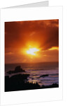 Sunset over the Pacific by Anonymous