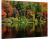 Reflections on Lake Conasauga by Anonymous