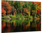 Reflections on Lake Conasauga by Corbis