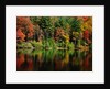 Reflections on Lake Conasauga by Anonymous