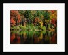 Reflections on Lake Conasauga by Corbis