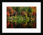 Reflections on Lake Conasauga by Anonymous