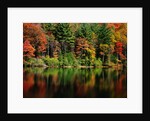 Reflections on Lake Conasauga by Corbis