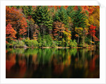 Reflections on Lake Conasauga by Corbis