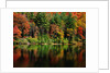 Reflections on Lake Conasauga by Anonymous