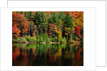 Reflections on Lake Conasauga by Corbis