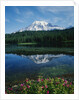 Reflection of Snowcovered Mount Rainier on Reflection Lake by Anonymous