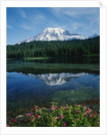 Reflection of Snowcovered Mount Rainier on Reflection Lake by Anonymous