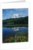 Reflection of Snowcovered Mount Rainier on Reflection Lake by Anonymous