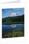 Reflection of Snowcovered Mount Rainier on Reflection Lake by Anonymous