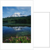 Reflection of Snowcovered Mount Rainier on Reflection Lake by Anonymous