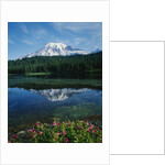 Reflection of Snowcovered Mount Rainier on Reflection Lake by Anonymous