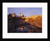 Pemaquid Lighthouse Reflecting in Tide Pool by Anonymous
