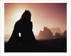 Sea Stacks in Fog Along Ruby Beach by Anonymous