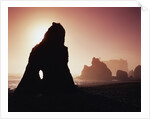 Sea Stacks in Fog Along Ruby Beach by Anonymous