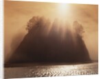 Sun Beams Breaking through Fog over Sea Stack by Anonymous