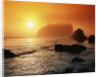 Foggy Sunset at Ruby Beach by Anonymous