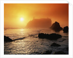 Foggy Sunset at Ruby Beach by Anonymous