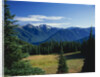 Gray Wolf Ridge by Anonymous