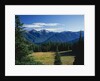 Gray Wolf Ridge by Anonymous