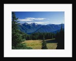 Gray Wolf Ridge by Anonymous