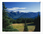 Gray Wolf Ridge by Anonymous