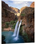 Havasu Falls by Anonymous