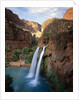 Havasu Falls by Anonymous