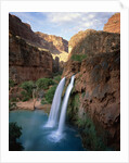 Havasu Falls by Anonymous