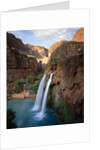 Havasu Falls by Anonymous